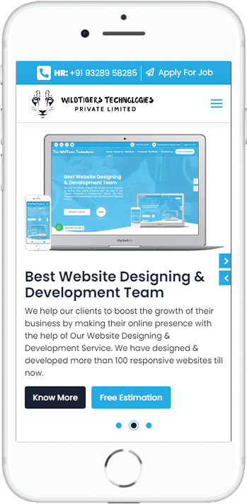 Best Website Designing & Development Team