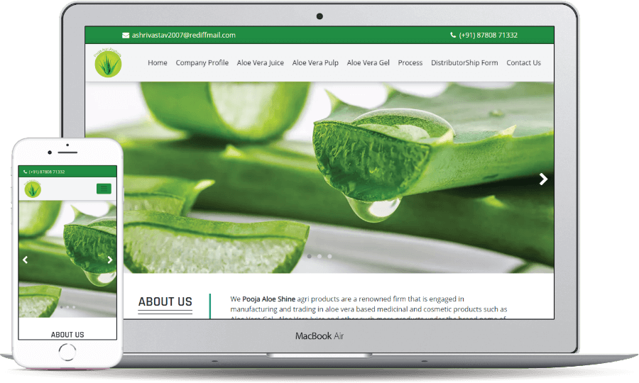 Pooja Aloe Shine
